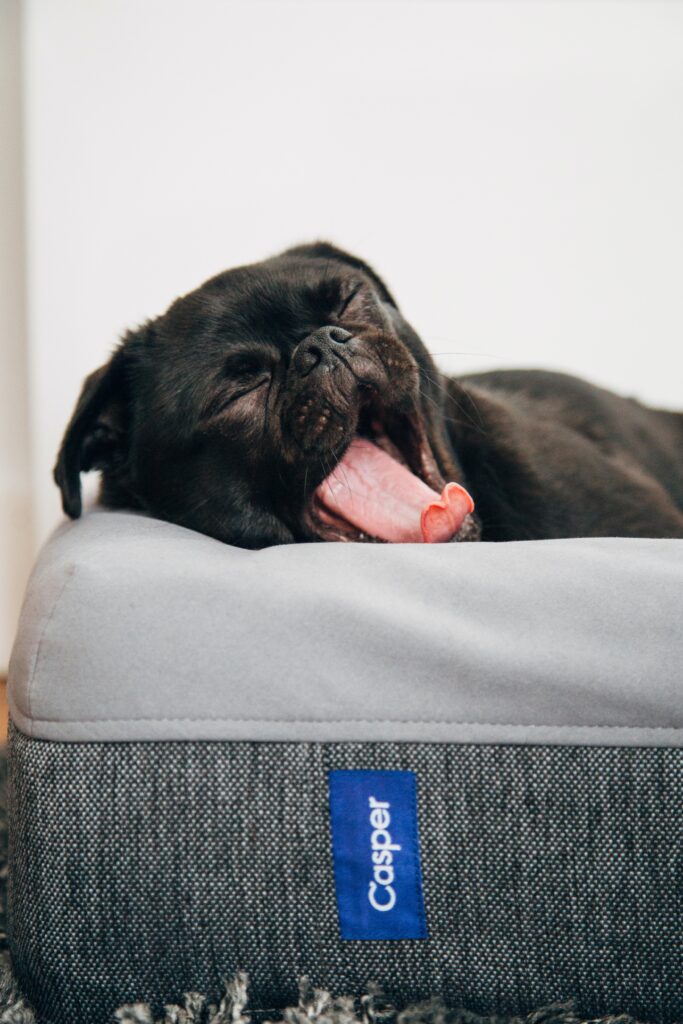 Best Amazon Mattress Toppers - Our Top 5 Picks