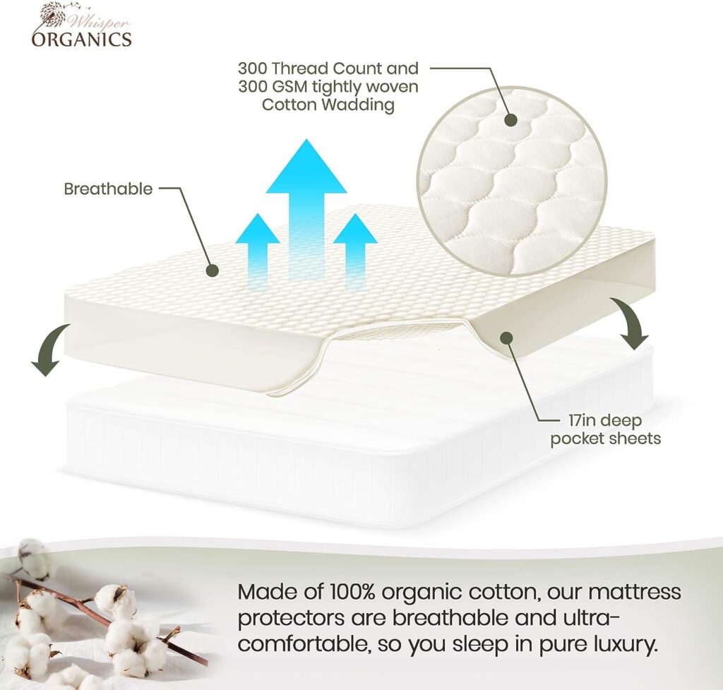 Whisper Organics, 100% Organic Cotton Mattress Protector - Breathable Cooling Quilted Fitted Mattress Pad Cover, GOTS Certified - Ivory Color, 17 Deep Pocket (Queen Bed Size)